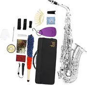 Oshhni E Flat Sax Full Kit Musical Instrument Players Beginners Orchestra Performance Instrument Storage Case for Stage Concert Show, argent