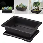 Rectangle Flower Pot Bonsai Container Nursery Balcony Living room Antique