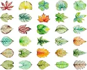 30 PCS Postcard Souvenir Gifts Collection Postcards Set Cards Collectible Set Leaf E17