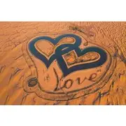 Save 5.00%! Love Lake & Flamingo Lake Al Qudra Tour & Dinner at Bab Al Shams