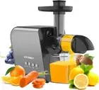 Slow Juicer Machine for Vegetables and Fruits 2022 Cold Press Masticating Juicer