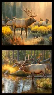 Elk Fabric Wild Animals Morning Glory #9204 Cotton Elizabeths Studio 24" Panel