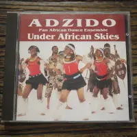 在飛比找Yahoo!奇摩拍賣優惠-【午後書房】Adzido│Under African Ski