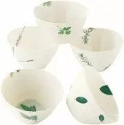 LA AMYS Toujour Free Bowl Dish 5 Set AM20-TS18 Made In Japan With Tracking