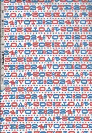 Patchwork Politics VOTE 2024 by Paintbrush Studio Fabrics bty