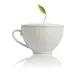 30400 Tea Forte 白瓷咖啡杯 Café Cup