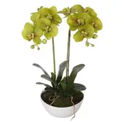 50cm Flowering Artificial Potted Orchid - Multi Stem