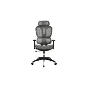 Ergonomic Office Chair Adjustable Lumbar Supported Mesh Office Chair with Headrest and Casters
