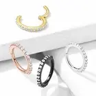 Precision Paved CZ Set Lined All Surgical Steel Hinged Segment Hoop Ring