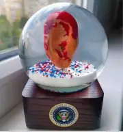 Snow globe " Ear of elections". Glass globe Ear of Trump