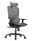 Ergonomic Office Chair – High Back Mesh Chair with 5-Level Lumbar Support
