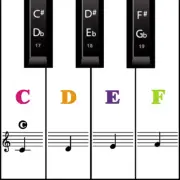 Removable Piano Keyboard Stickers for Beginners - Reusable Note Labels