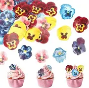 60 PCS Edible Flowers Cupcake Toppers, Edible Spring Bridal Engagement Pansies Cake Decorations, Wafer Paper Flowers Cupcake Picks for Baby Shower Kids Birthday Party Cake Food Decorations Supplies