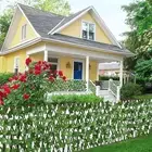 Faux Ivy Privacy Fence Expandable Retractable Screen Sunlight Resistant Leaf
