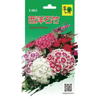 【翠筠用品】花卉種子D組