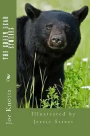The Green Bear Stories by Joe Knotts (English) Paperback Book