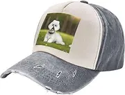 [YANYU] Cute Bichon Frise Dog Print Fashion Washed Distressed Baseball Cap Vintage Adjustable Hat with Classic Brim, Gray, One Size
