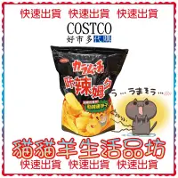 在飛比找蝦皮購物優惠-😺貓貓羊生活品坊🐾 代購 COSTCO好市多 卡辣姆久勁辣唐