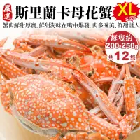 在飛比找PChome24h購物優惠-【海肉管家】斯里蘭卡XL母花蟹(共12隻_200-250g/