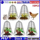 30cm Chicken Wire Garden Seedling Cloche / Plant Cover / Rust Metal Display Dome