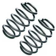 2 front coil springs OE Replacement 2-R10222 for Renault CLIO spare parts 820012