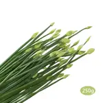 菜霸子 韭菜花 250G±10% 官方直營