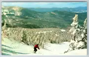 1950s Sugarloaf Mountain Maine Skiing Snowfall Vintage Postcard