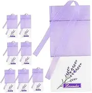 Alipis 8 Pack Sachet Pendant Bags Elegant Storage Bags for Perfume Decorative Sachets Lightweight