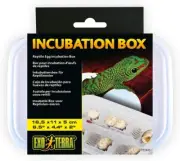 Exo Terra Incubation Box
