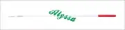Rhythmic Gymnastic Ribbon Stick - 60 cm