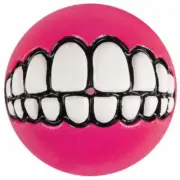 Rogz Grinz Ball Pink
