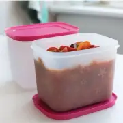 Tupperware Freezer Mates Plus Container Small Deep Set Of 2 1.1 L (4.5 CUP) NEW