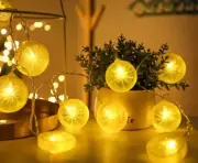Lemon String Lights, 10Ft 20 LED Plug in Lemon String Lights Warm White Fairy L