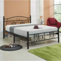 在飛比找momo購物網優惠-【藍色的熊】CD-0369全鐵床架 5尺(全鐵床 雙人床 床