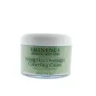 Eminence Bright Skin Overnight Correcting Cream 250ml / 8.4oz Prof