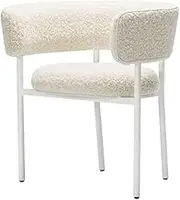 CVBFDB Dining Chairs Restaurant Designer Leisure Chair Coffee Shopmoveis para Casa Home Furniture(White-Dinosaur Doodle4)