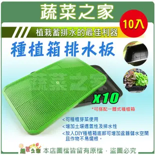 【蔬菜之家011-A62-GR1】種植箱排水板 10片/組 (綠色) ※不適用郵寄掛號配送