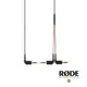 【預購】【RODE】SC11 一對二 3.5mm音源線 公司貨
