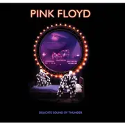 Delicate Sound Of Thunder (2020 Reissue Edition)