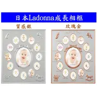 在飛比找蝦皮購物優惠-[日本代購] 台北可面交 徐若瑄推薦 Ladonna 小V寶