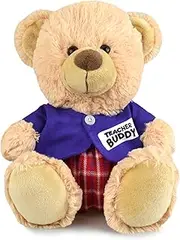 My Buddy Bear Soft Plush/Stuffed Teacher Teddy Toy, Size 23 cm, Blue/Brown