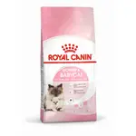 皇家 BC34 離乳貓 貓飼料 母貓 專用 乾糧 離乳貓 幼貓 孕母貓 母貓 2KG ROYAL CANIN