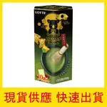 【快速出貨】現貨 樂天 樂天小熊餅乾 家庭號 宇治抹茶 175G LOTTE 泰國 進口 派對 小熊餅乾 點心 團購