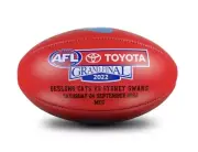 Afl Grand Final Sherrin Football 2022 Sydney Swans v Geelong Cats NEW Free Post