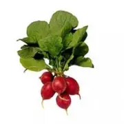 Organic Radishes - Fresh, healthy organic delivery | Doorstep Organics