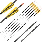 32-Inch Carbon Arrows 4-Inch Feather Fletching Replaceable Points Hunting Arrows Targeting Arrows Spine 400 Recurve Bow Longbow Hunting Bow(Pack of 6)