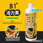 現貨 - 微綠B1+活力素 開根劑 定植 移植 嫁接 扦插 壓條 分株 播種育苗 植物活力素 天然植物萃取物 花園城堡