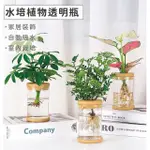 【GARDENERS】水培植物透明瓶-1入(室內盆器吸水盆水耕水培植物)