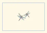 Peter Pauper Press Boxed Blank Note Cards - Blue Dragonflies 310293