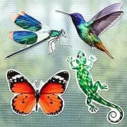 8 Pcs Screen Magnets Dragonfly Decorative Magnetic Flexible Double Sided Butterfly Hummingbird Gecko Door Magnets Holographic Flexible Door Decals for Sliding Doors Window